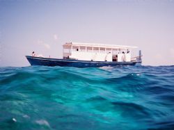 Dive Boat in the Maldives - Fuji underwater disposable ca... by Gary Arnold 